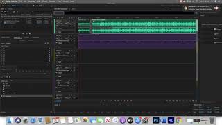 Week 7 | Multitrack Editing | Multimedia Design