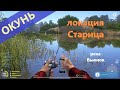 Русская рыбалка 4 - река Вьюнок - Окунь за сухостоем