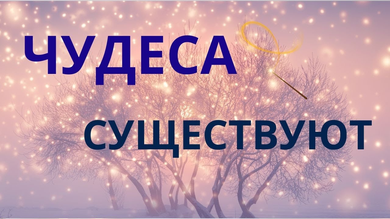 Чудеса существуют. И вот почему это правда