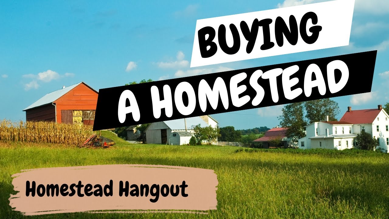 Buying a Homestead: Tips to Finding and Buying Your Homestead Property ...