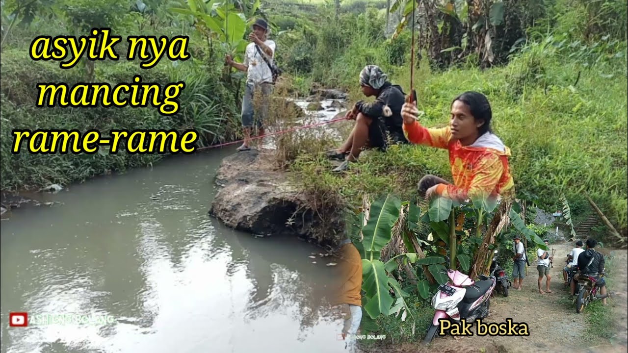 Mancing rame-rame di spot istimewa ‼️sungai kecil ini potensi ikan ...
