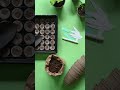 IA & Drones : 1 Milliard d'Arbres Plantés par An ! 🌳 Révolution Verte