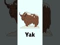 5 Words on Letter Y | Learn Alphabet Y for Kids | ABCD | ABC for Kids | Kids Video #shorts