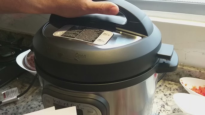 Instant Pot Duo Mini Review Demo Recipes 