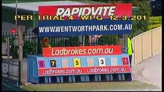 WENTWORTH PARK-PT-12032015-RACE-4