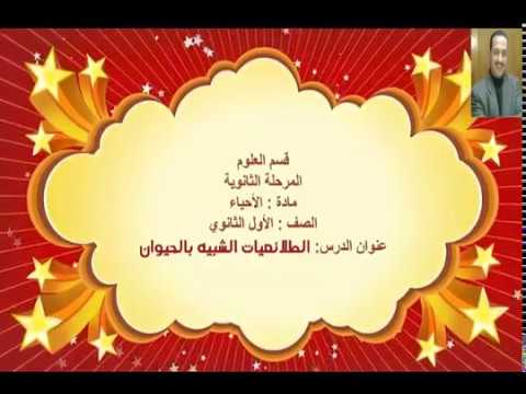 الطلائعيات الشبيهه بالحيوان Youtube