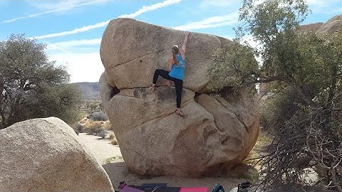 Yardarm (V1) Flash - Joshua Tree