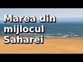 Marea din mijlocul Saharei | Lumea Sub Lupă