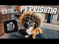 La IA de videos que TODOS están USANDO en 2025 - DreamVid
