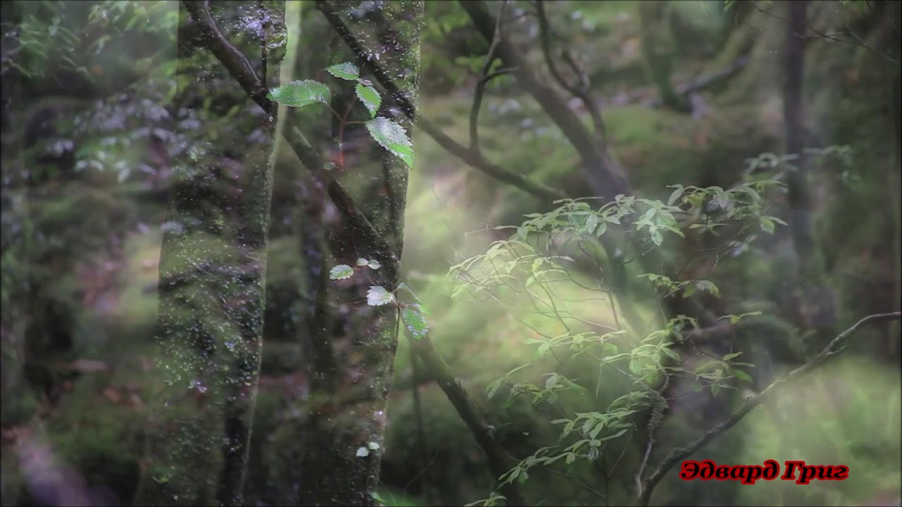 МИР МУЗЫКИ – Песня Сольвейг – Эдвард Григ – Memento Patriae - YouTube