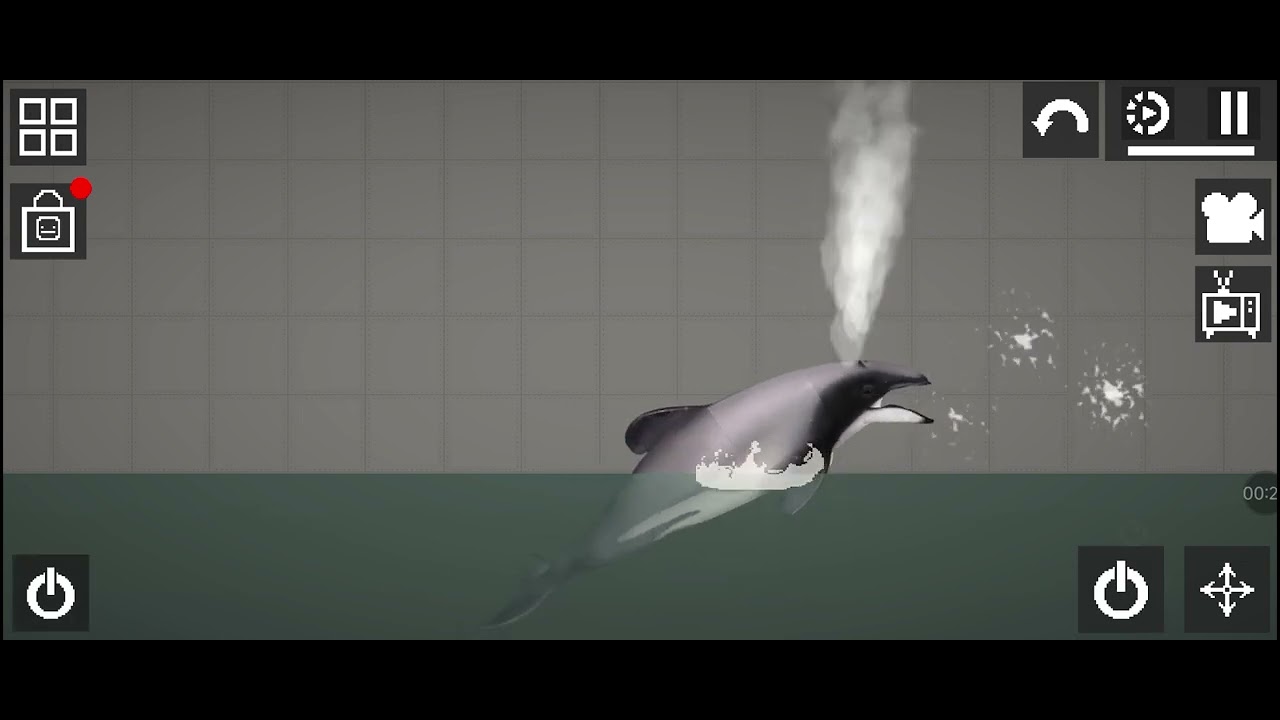 Hector's dolphin mod for melon playground