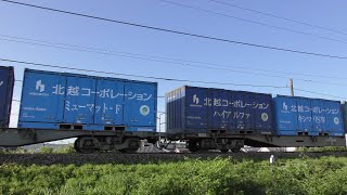 レッドサンダーEF510-8牽引高速貨物【4K】信越本線下り4059レ