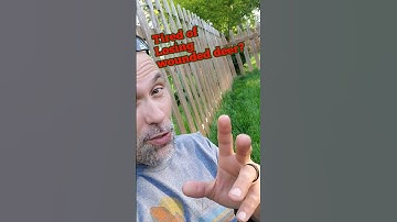 Blood Track deer with any dog!