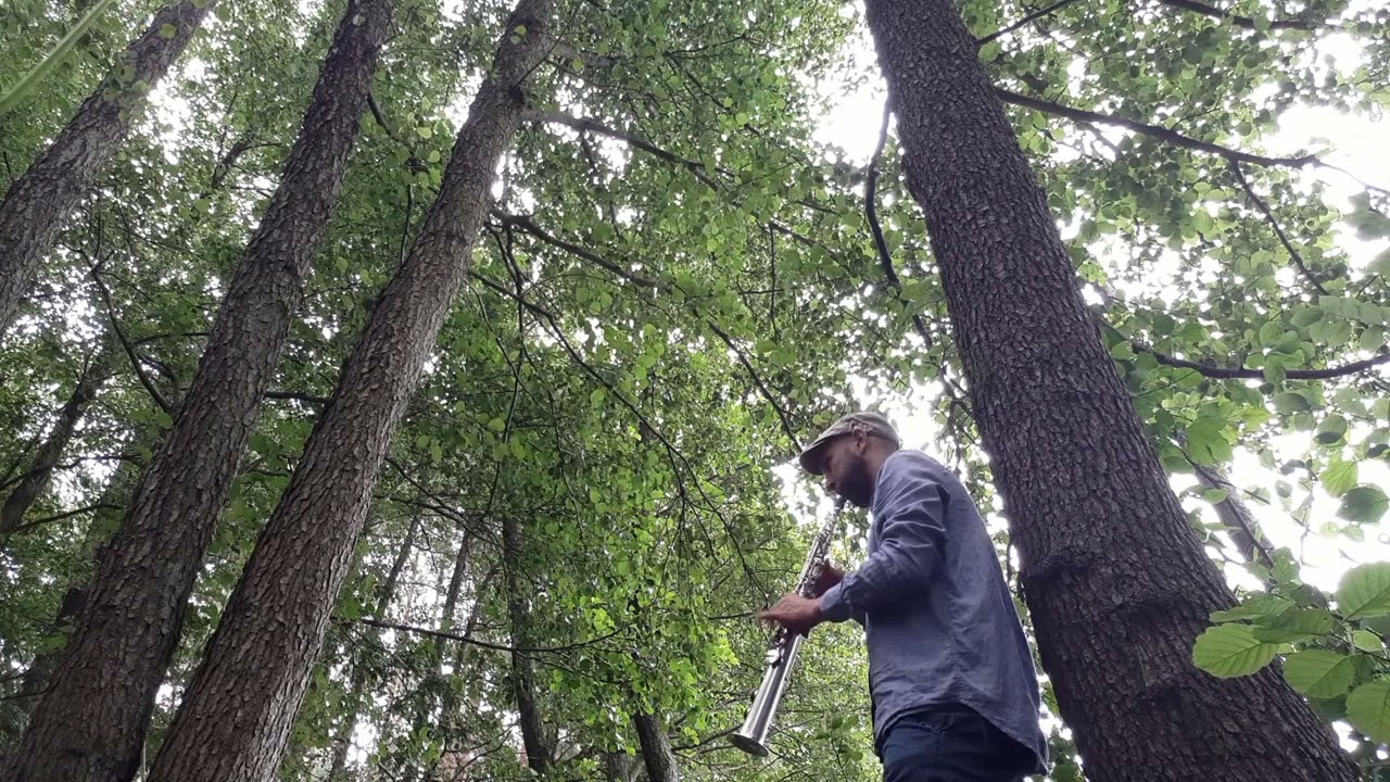 Michał Giżycki - Talkin with Bird