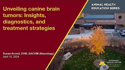 Unveiling canine brain tumors: Insights, diagnostics, and treatment strategies