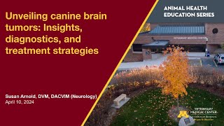 Unveiling canine brain tumors: Insights, diagnostics, and treatment strategies