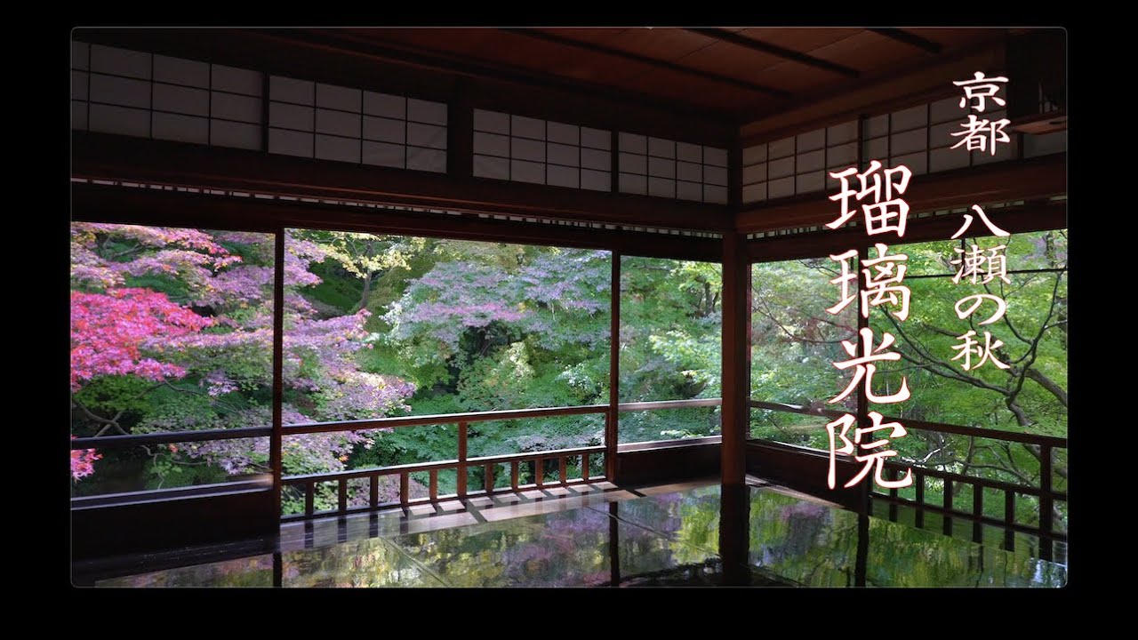 京都八瀬 瑠璃光院の秋です 瑠璃光院の庭園の色づきはもう一つでしたが八瀬 高野川周辺の紅葉は見事でした Youtube