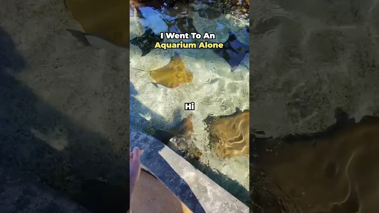 I Went To An Aquarium Alone