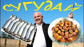 СУГУДАЙ из СКУМБРИИ под МОЛОДУЮ КАРТОШЕЧКУ. ENG SUB