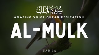 Calming Voice Recitation of Surah Al Mulk |  سورة الملك | Protect You In The Grave
