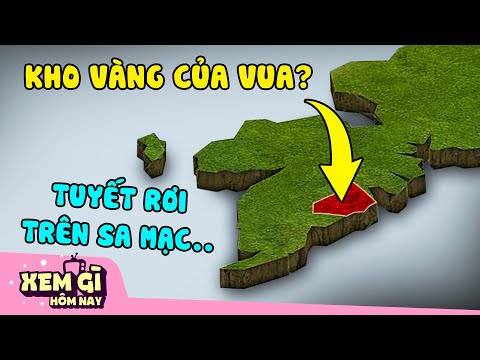 Video: Làm Thế Nào để Dành Một Giờ Học Thú Vị