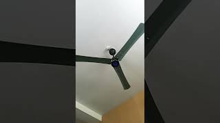 remote control fan 🪭 with LED lights