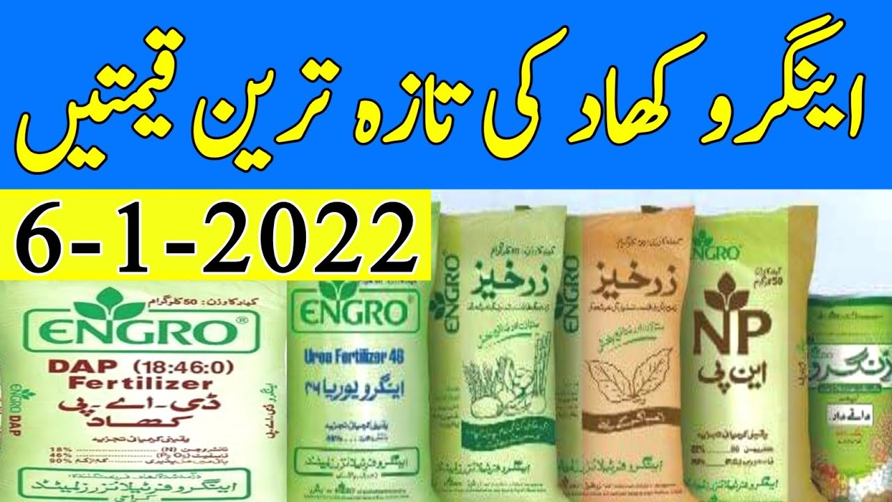 Today Engro Fertilizers prices in Pakistan Today Engro DAP Rates