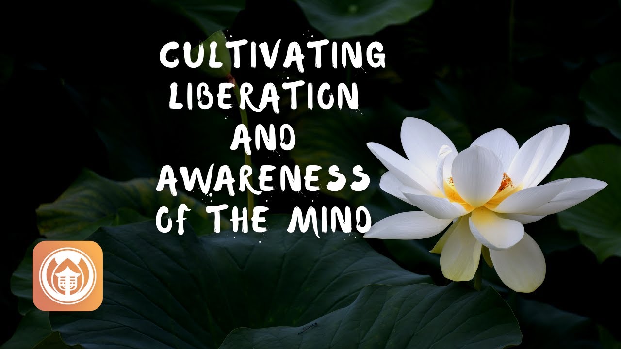 Cultivating Liberation and Awareness of the Mind | Dr. Larry Ward