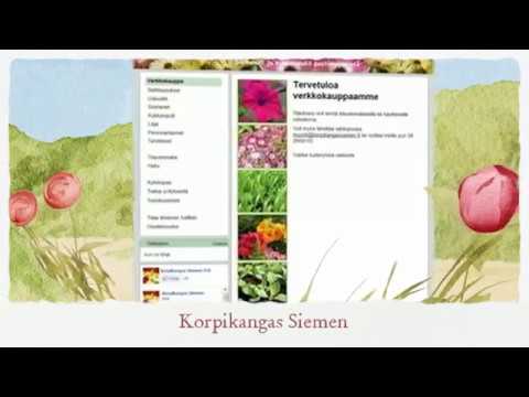 Video: Opas Rosellen siementen keräämiseen - Rosellen siemeniä koskevat tiedot ja käyttötarkoitukset