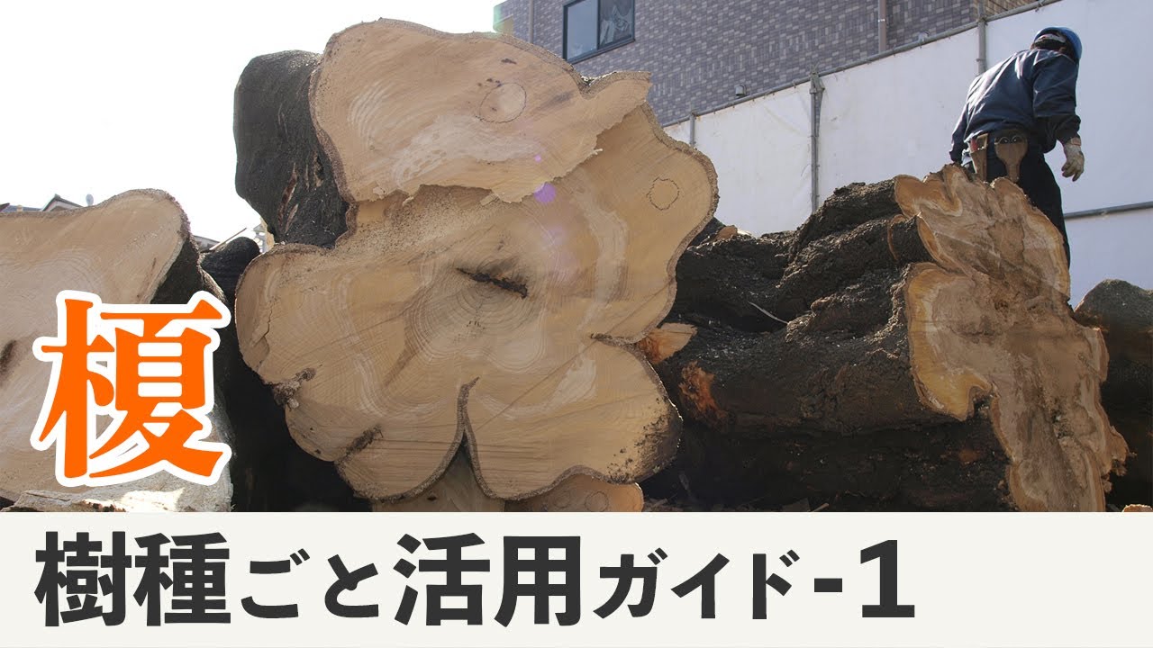 新木からの樹づくり New Arrivals] Recommended plants for small gardens as symbol trees