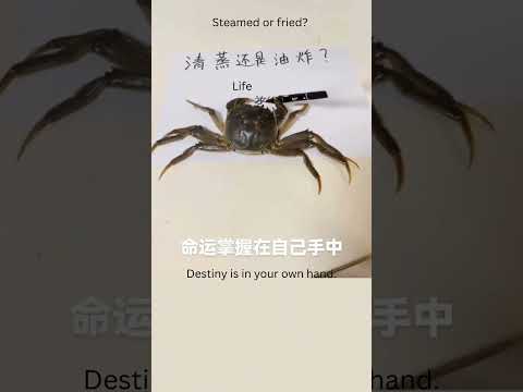 命运掌握在自己的手中. | Destiny is in your own hand.