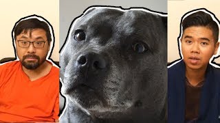WHY I STOPPED EATING FOOD. Taking Over This Viet British Guy's Life + Staffie Dog