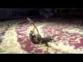 عجيب في خ لقته شبث ويخلق ما لا تعلمون Scorpion عجيب في خ لقته شبث ويخلق ما لا تعلمون Scorpion