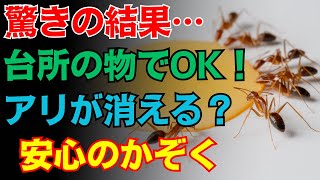 「殺虫剤なし・たった100円で試せるアリ対策！自然派の14の知恵」