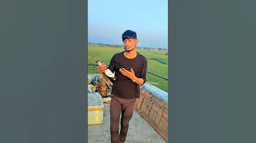 Tera Gam Agar Na Hota To Saraph Na Pita Trendingshorts Song Viralsong Popularsong Songbad 