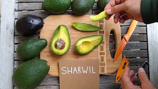 Sharwil avocado: a profile