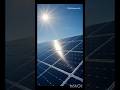Solar Panel Electricity Generation Explained ☀️⚡ l #solar l #solarenergy l #solarpanel l #science l