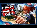 How To Farm Dog Coins in Palworld