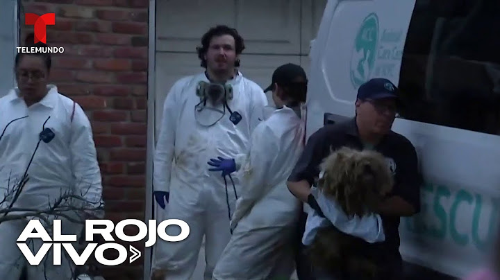 Hallan a una mujer muerta y más de 80 perros en una casa de Nueva York