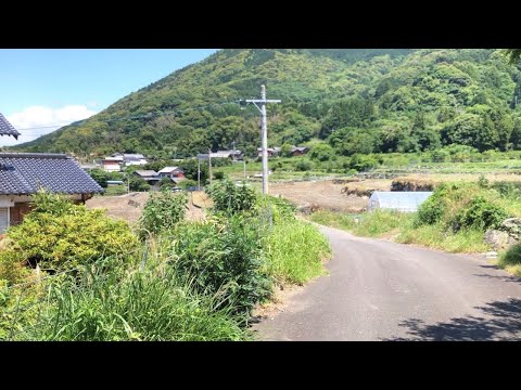 Video: Raja Ampat: panduan ringkas untuk melawat kepulauan Papua yang indah