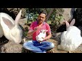 इस मासूम खरगोश के साथ हुआ दिल दहला देने वाला हादसा 😞 😢 Rabbit Rescue | Khargosh | खरगोश