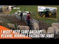 I MIGHT NEED SOME HELP! | WEIGHING, WORMING & VACCINATING LAMBS