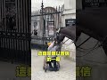 靈性的軍馬 自說自話的總裁 靈性的軍馬 自說自話的總裁