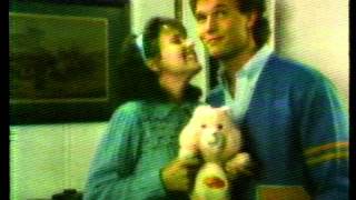 Care Bears 1984