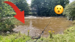 Look What I Caught in the River Flood! 🌊 🎣