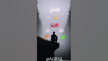 وعسى أن تكرهوا شيئًا وهو خير لكم • سورة البقرة | #قرآنكريم #تدبر #محتوىديني #آيةتهزالقلب
