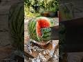 Glass Watermelon ASMR (Crunchy & Wet)