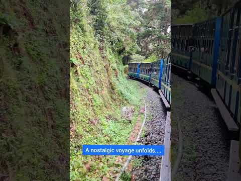 Video: Rij met de Nilgiri Mountain Railway-speelgoedtrein naar Ooty