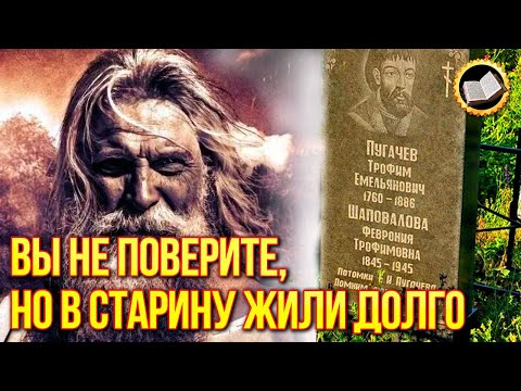 Бейне: Скифтердің Еуразиялық империясы