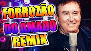 FORROZÃO DO AMADO BATISTA VERSÃO REMIX SELEÇÃO WA PLAY PRODUÇOES